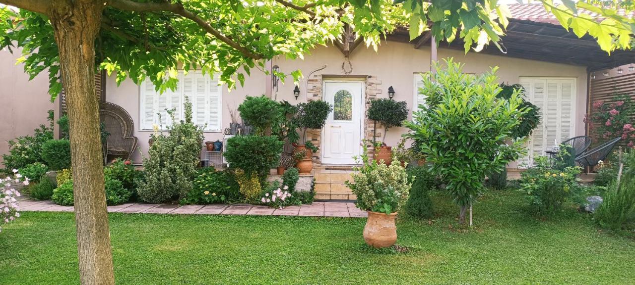 Villa Gomfoi Trikala - Smart Town Bnb Exterior foto